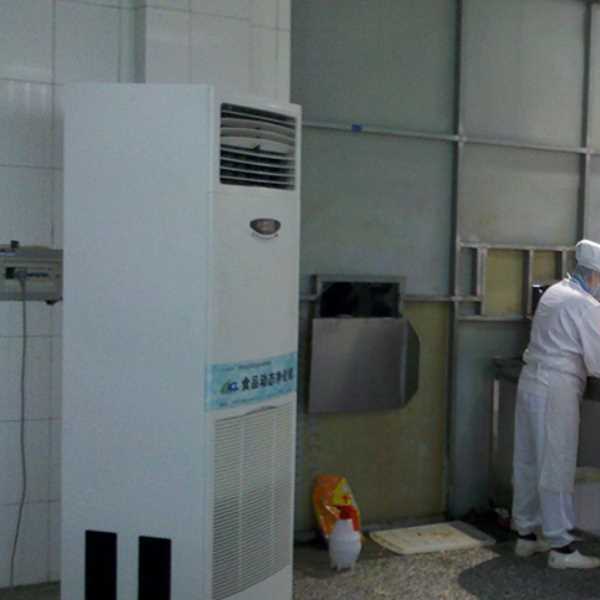 辽源食品正负离子空气杀菌器